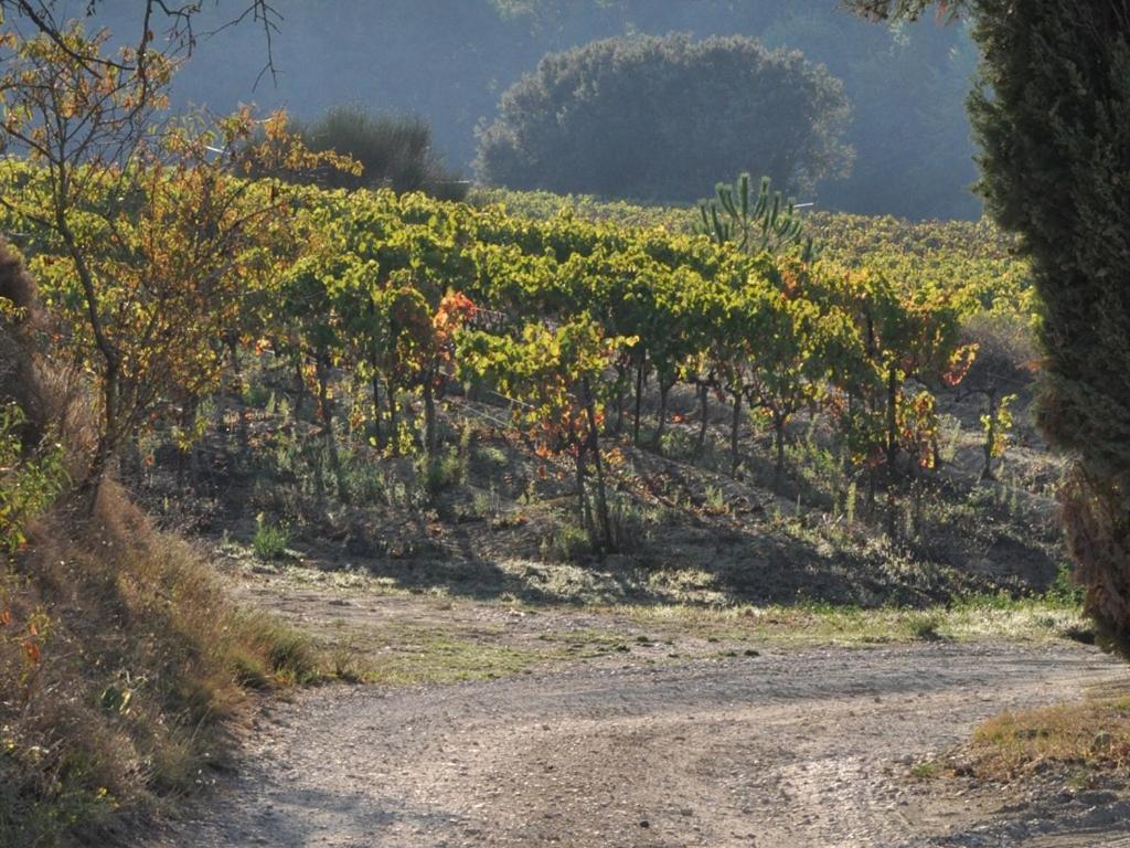 Отель Domaine Saint Victor La Tour-d'Aigues Экстерьер фото